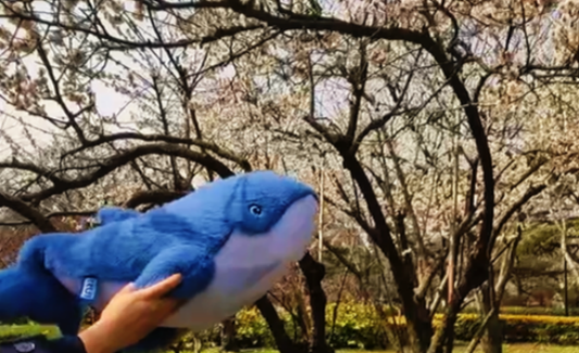 f0fc52d3358e01046d46ca60caaff094.png