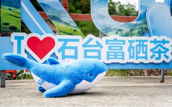 e0950bf9029a8b677bae1513ec023e3c.png